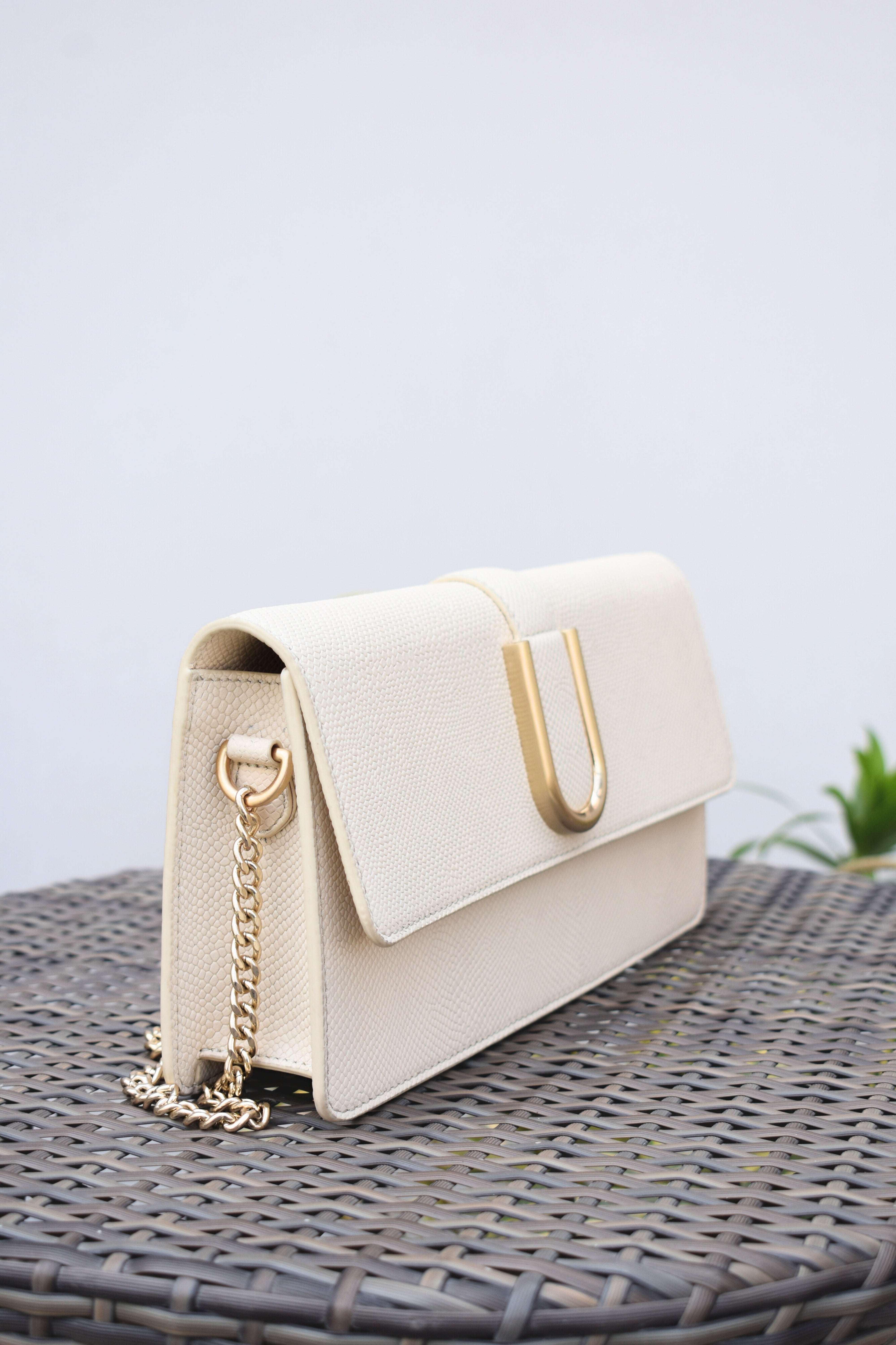 Ivory Halo Clutches Bag